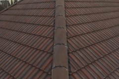 New-Roofs-3