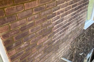 repointing-01f